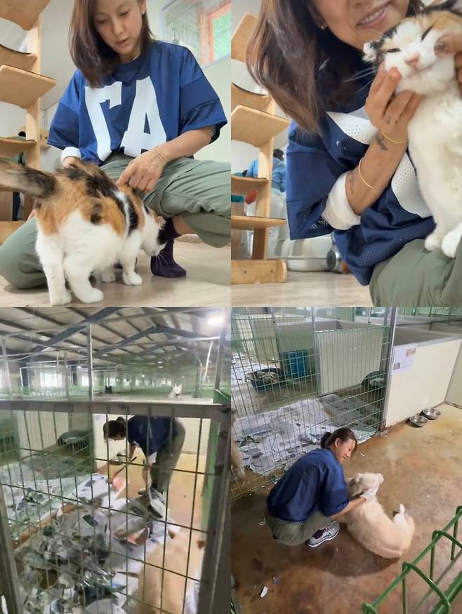 이효리 소셜네트워크서비스 계정