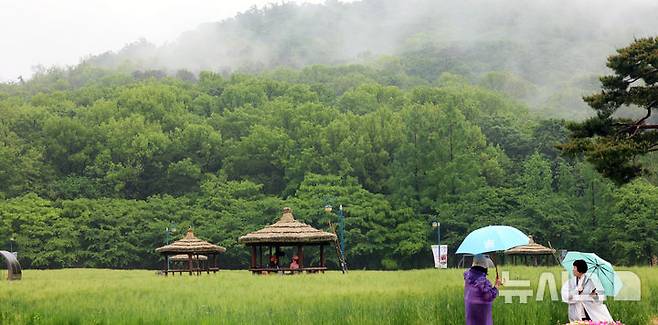 [인천=뉴시스] 전진환 기자 = 봄비가 내리는 16일 오전 인천 남동구 인천대공원 어울정원 청보리밭에서 시민들이 산책을 하고 있다.  2025.05.16. amin2@newsis.com