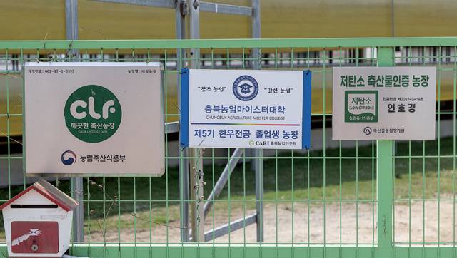 <대창농장>은 청정한 축사 환경 관리로 ‘깨끗한 축산농장’ 인증, 최적의 사양관리로 사육 기간을 단축하며 ‘저탄소 축산물인증’을 획득했다.