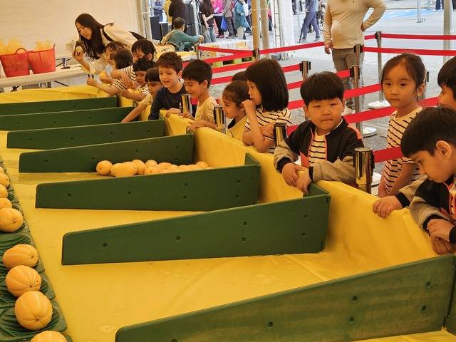 경북 성주군과 성주 참외 산업 관계자들이 16일 농림축산식품부를 방문해 가격이 폭락한 참외에 대한 지원사업을 강력히 건의했다. 사진은 15~18일 열리는 ‘성주참외&생명문화 축제’ 모습으로 기사의 특정 내용과 관계 없음.