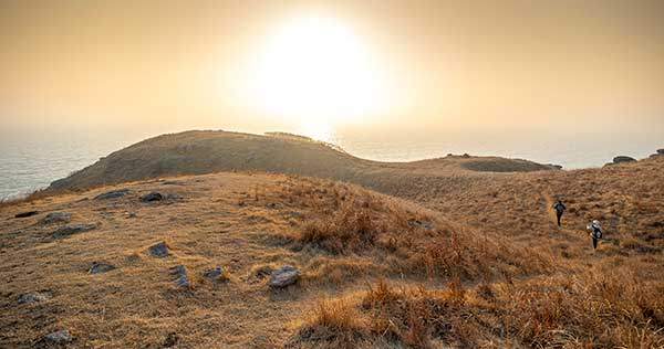 122m봉 개머리언덕 정상부에서 본 수크령 초원.