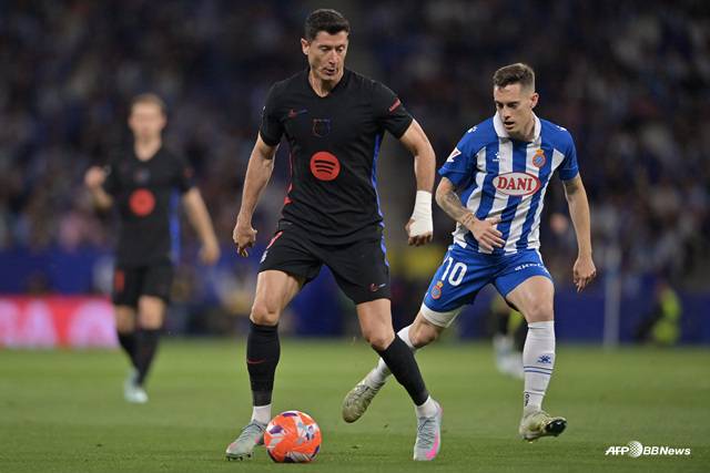 경기에 집중하는 로베르트 레반도프스키(왼쪽). /AFPBBNews=뉴스1