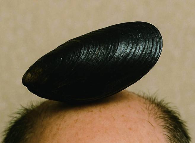 홍합과 머리. 게티이미지뱅크 제공