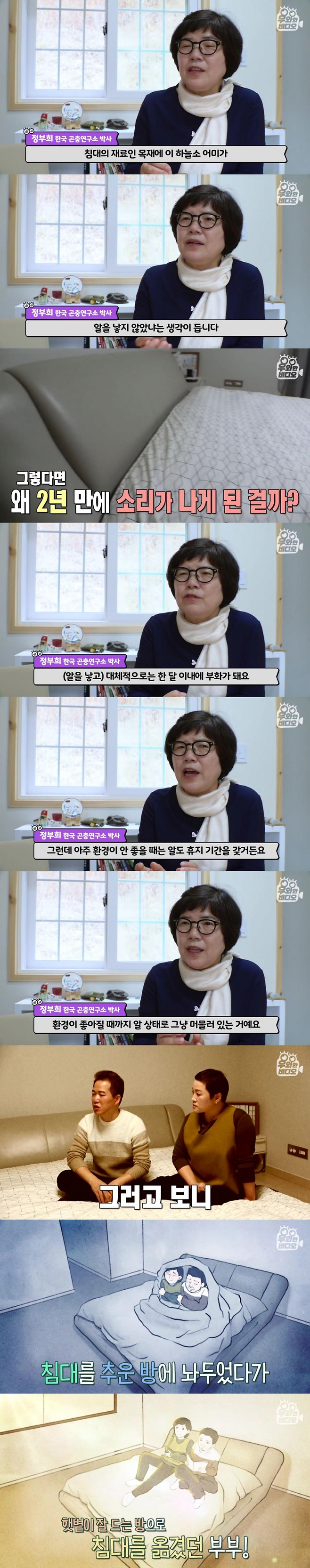 Internet_20250517_030623_7.png 침대에서 이상한 소리가나서 침대를 분해했는데요 .jpg