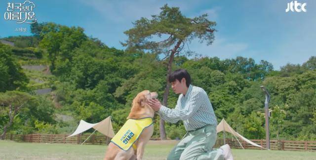 최근 방송 중인 JTBC '천국보다 아름다운'은 80세 모습으로 천국에 도착한 이해숙(김혜자)이 30대 모습으로 젊어진 남편 고낙준(손석구)과 재회하면서 벌어지는 이야기를 다룬다. 죽음이라는 인생의 끝에서 제2의 삶을 시작하는 이해숙이 천국에서 살기 시작하면서 펼쳐지는 에피소드들이 주 관전 포인트다. JTBC 제공