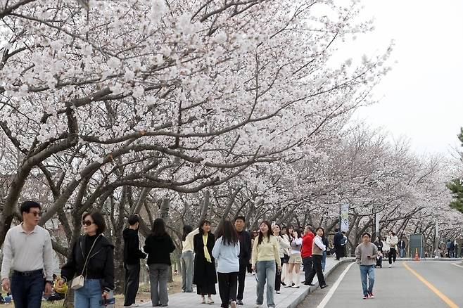 ▲영암군, 21~23일 미식체험관 위탁 운영할 민간 전문 운영자 공개 모집 [전남 영암군]