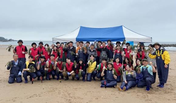 16일 충남 태안군 소원면에서 잘피 이식 행사가 진행되고 있다. 군 제공