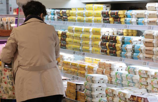 서울 시내의 한 대형마트에 계란이 진열돼 있다. 연합뉴스