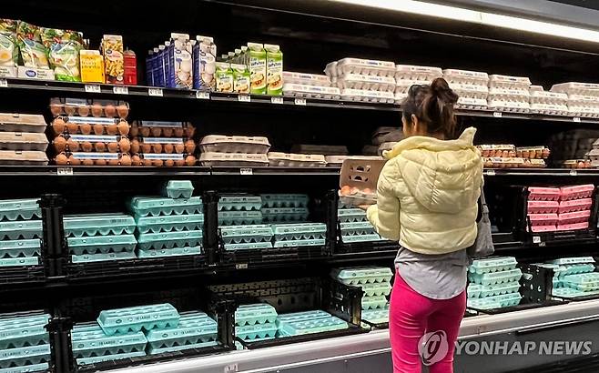 15일(현지시간) 미국 한 상점에서 달걀 살피는 주민 [휴스턴 AFP=연합뉴스. 재판매 및 DB 금지]