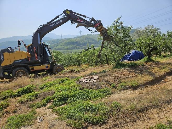 과수화상병으로 인한 매몰작업 [충주시 제공. 재판매 및 DB 금지]