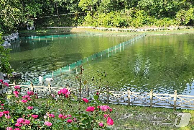 일본 후쿠오카 츠즈키학원의 TG 로즈가든 ⓒ 뉴스1 최서윤 기자