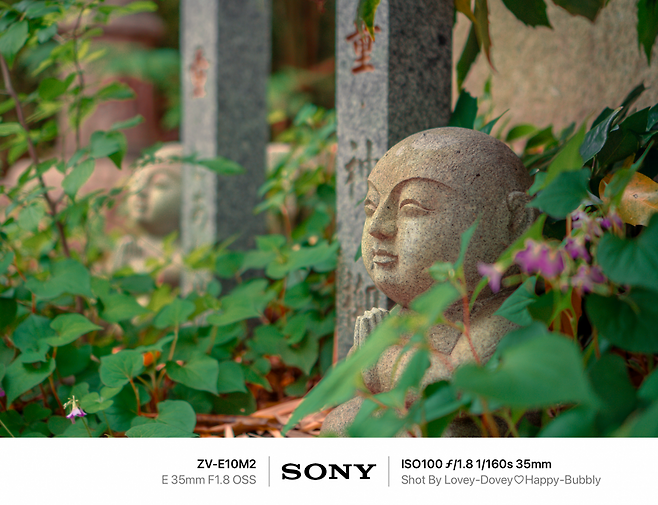 7ded8568f5dc3f8650bbd58b3684756c779044e9