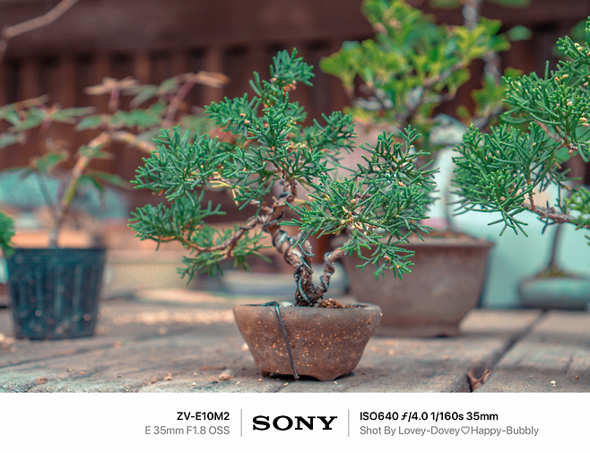 7dec8368f5dc3f8650bbd58b36847264a01d644c