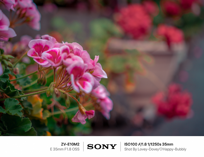 7dec8868f5dc3f8650bbd58b3685716c7eabe0bd