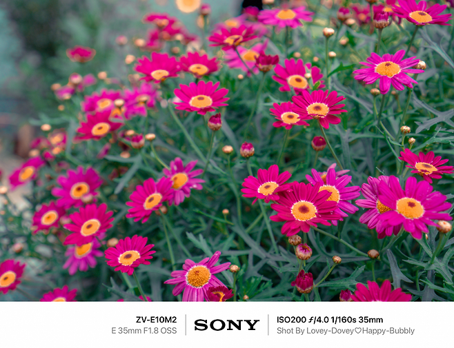 7def8768f5dc3f8650bbd58b3684766d6ef611d2