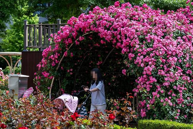 화창한 봄 날씨를 보인 18일 오전 경남 창원시 성산구 장미공원에서 시민들이 봄 정취를 만끽하고 있다.2025.05.18.[창원=뉴시스]
