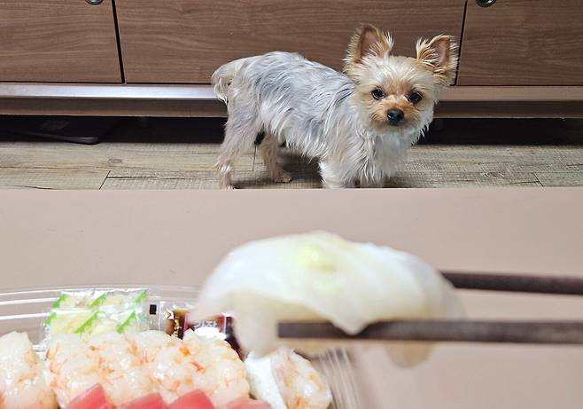 20250517_204432.jpg 저녁 코스트코 초밥에 스파클링 와인