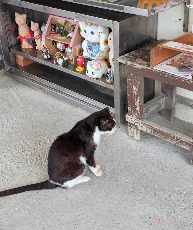 스크린샷 2025-05-18 오전 10.08.05.png 오키나와의 150억 오션뷰 단독주택