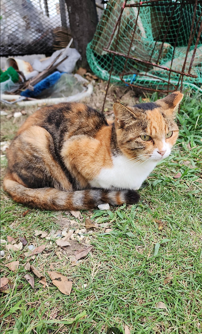 스크린샷 2025-05-18 오전 10.08.19.png 오키나와의 150억 오션뷰 단독주택