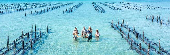 굴 양식 산업을 관광 상품화 한 오스트레일리아 양식장. 양식장에서 직접 굴을 따 시식하는 프로그램을 운영하는 데도 있다. 오스트레일리아관광청 제공