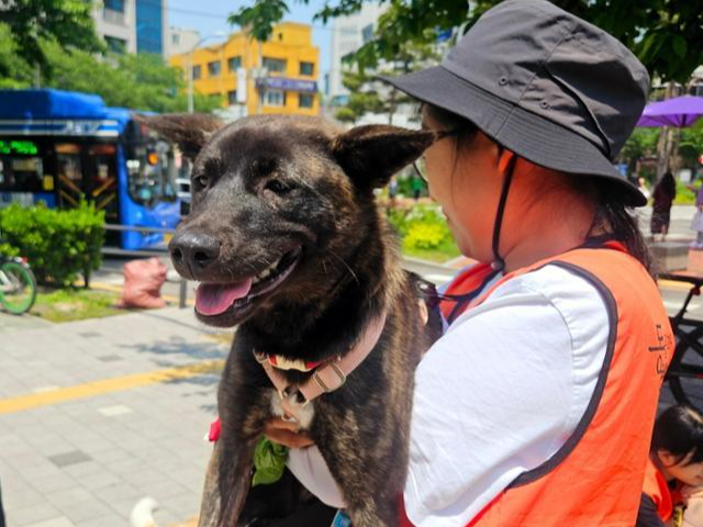 사람을 제일 좋아하는 랑고. 동물과 함께 행복한 세상 제공