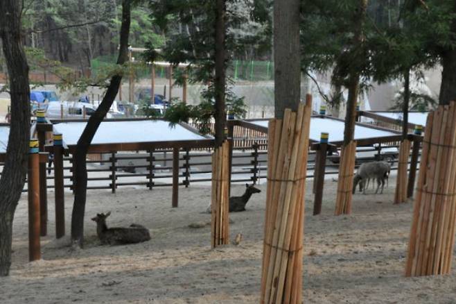 부산시가 삼정더파크에 동물 먹이를 지원하기로 했다. 부산시 제공