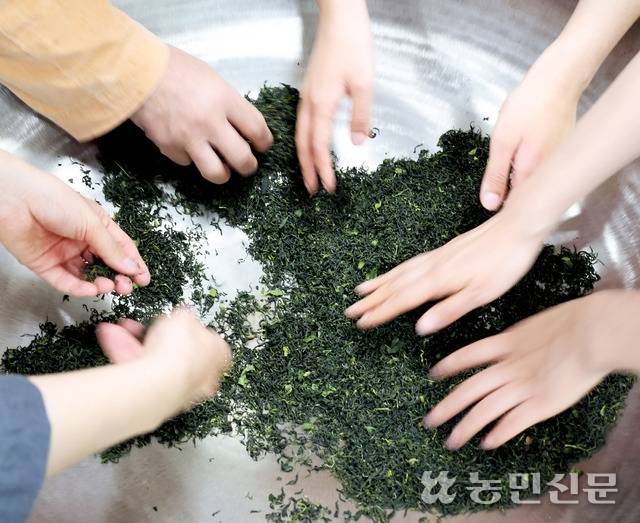 찻잎을 커다란 솥에서 2시간 동안 덖어야 비로소 마실 수 있는 차가 된다.