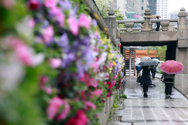 사진은 기사의 특정 내용과 관련 없음. 연합뉴스
