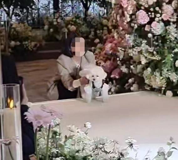 [지난 4월 말 결혼한 이모(32)씨는 반려견 '토리'를 '화견'으로 결혼식장에 세웠다. 사진은 토리의 입장 모습]