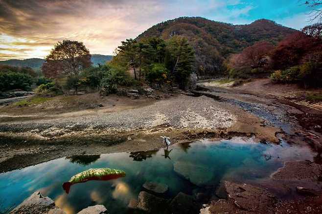암각화 가는길.김양수 작