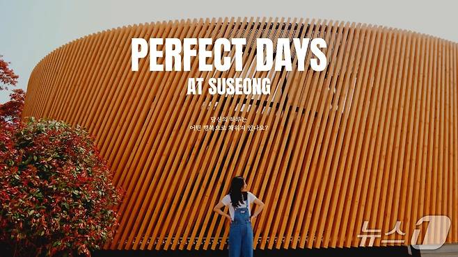 대구 수성구 공식 유튜브에 업로드 된 '퍼펙트 데이즈 앳 수성' 썸네일 화면.(재판매 및 DB금지)