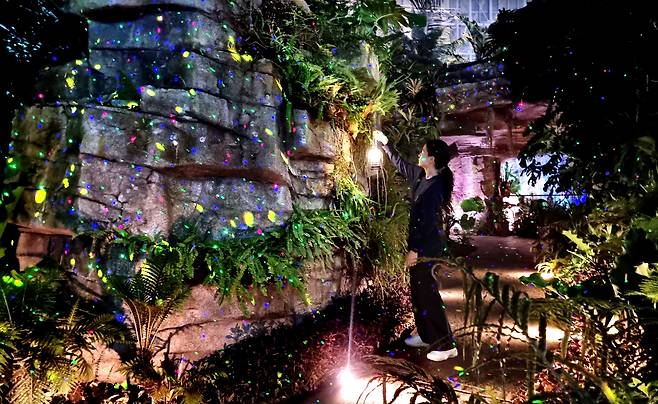 열대온실 입구에서는 반딧불이를 형상화한 불빛이 관람객을 맞이한다. 느리게 움직이는 빛을 따라 걷다 보면, 마치 신비로운 열대 숲을 탐험하는 듯한 느낌을 준다. /신현종 기자