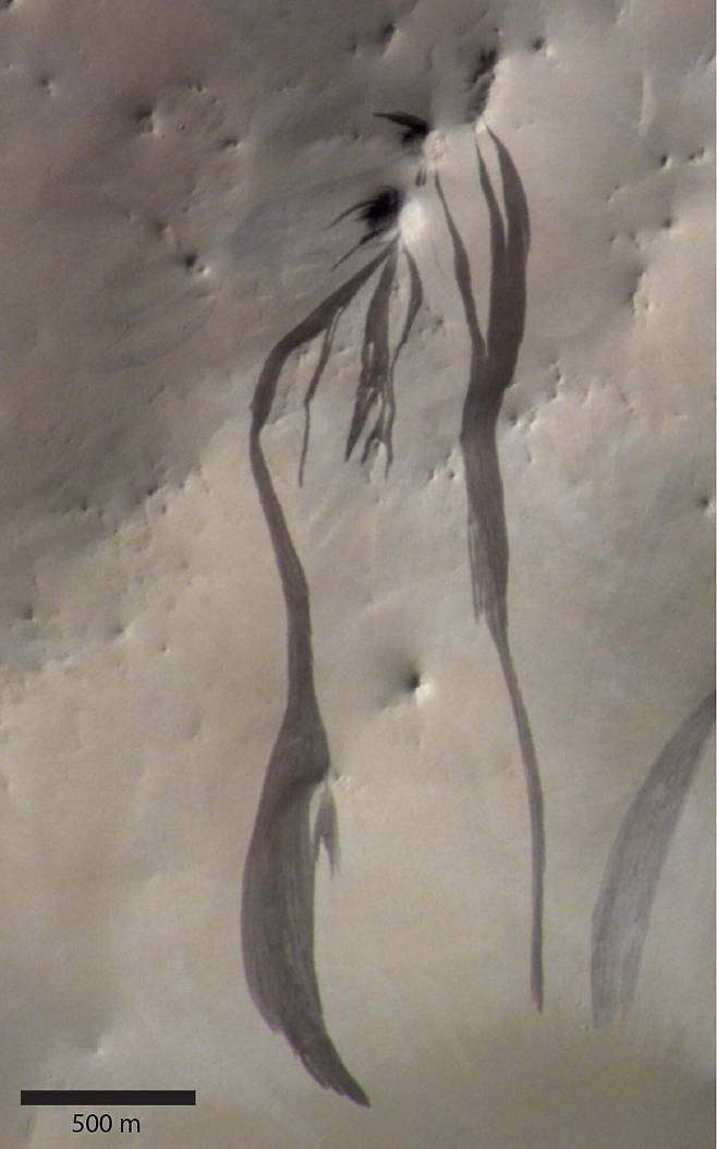 유럽우주국(ESA)의 추적 가스 궤도선(ExoMars Trace Gas Orbiter)이 포착한 화성 표면의 줄무늬./미 항공우주국(NASA)