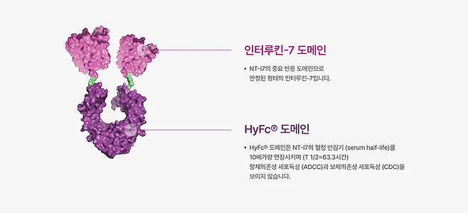 네오이뮨텍의 신약 후보물질 'NT-I7'(사진=네오이뮨텍)