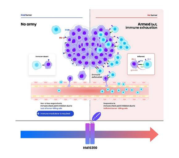 HM16390의 작용기전. [사진=한미약품 제공]