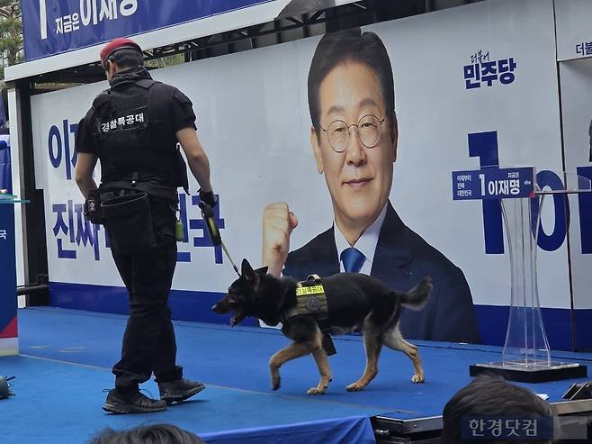 19일 서울 용산구 용산역 광장에서 열린 이재명 더불어민주당 대선 후보 유세 현장에서 폭발물 탐지견이 무대에서 위험물을 탐색하는 모습. /사진=이민형 기자