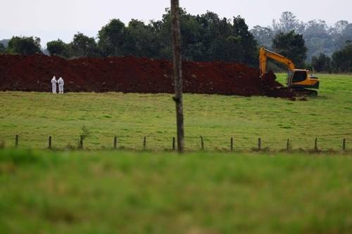 지난 17일(현지시간) 조류 인플루엔자가 발생한 브라질 양계 시설에서 근로자가 작업하고 있다. [AFP = 연합뉴스]