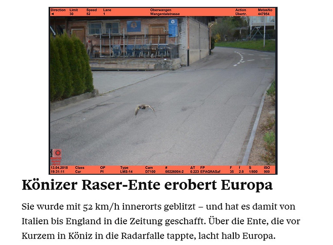 퀴니츠 시는 해당 오리가 상습범으로 보인다며 지난 2018년 같은 날짜, 같은 장소에서 같은 속도로 비행한 것으로 보이는 유사한 외형의 오리 사진을 함께 공개했다. [사진 = 스위스 퀴니츠시 페이스북]