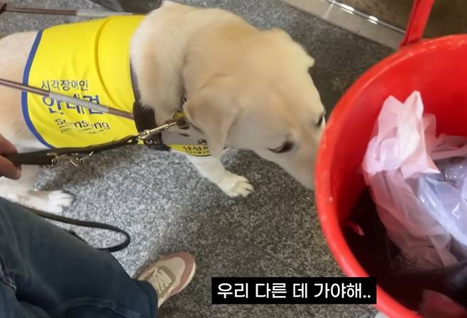 한 시각장애인 유튜버가 안내견을 데려왔다는 이유로 부산 횟집에서 싸늘한 냉대를 받다 결국 가게를 떠난 영상을 공개해 공분을 사고 있다.  [유튜브 갈무리]