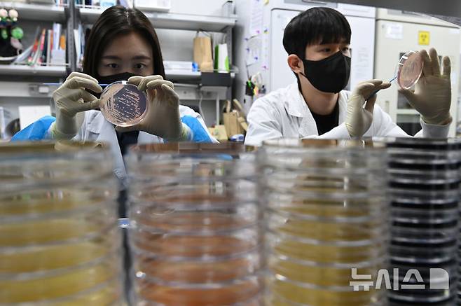 [수원=뉴시스] 김종택 기자 = 19일 경기 수원시 권선구 경기도보건환경연구원에서 연구원들이 식중독균 배양분리작업을 하고 있다.최근 이른 더위가 시작되면서 학교 급식 등 집단급식소 식중독 의심 신고는 총 110건으로 최근 3년 평균(84건)보다 31% 증가했다. 2025.05.19. jtk@newsis.com