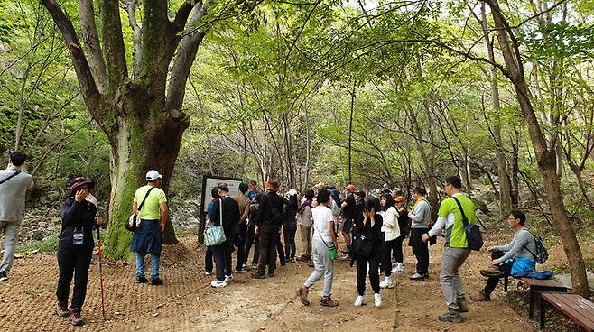 [계룡=뉴시스]30년 동안 군사보호구역으로 묶여 일반의 출입이 금지됐던 '계룡하늘소리길'이 계룡시의 새로운 관광명소로 급부상하고 있다. (사진=계룡시 제공) 2025. 05. 19 photo@newsis.com *재판매 및 DB 금지