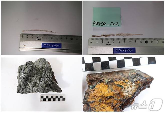 남극 중앙해령에서 채집한 화살벌레(위쪽)와 열수광석(극지연구소 제공)