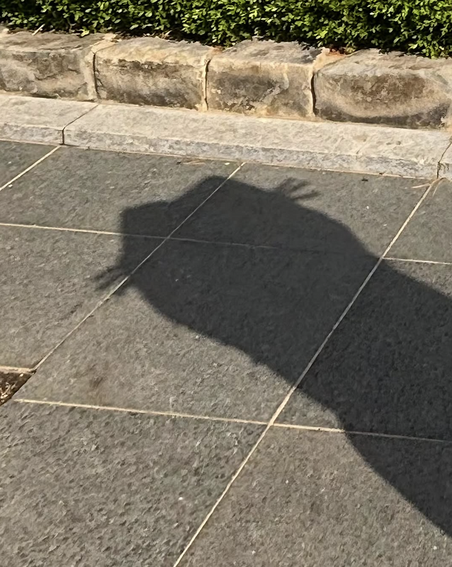 인스타그램 @hhh.e_c.v