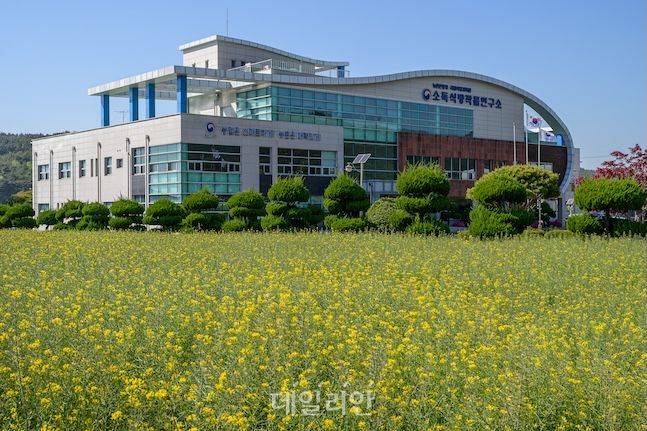 전남 무안에 자리 잡은 농촌진흥청 국립식량과학원 소득식량작물연구소는 고구마, 유채, 땅콩을 비롯해 부산물 분해 등 바이오소재 연구의 최일선 기관이다. 우리나라 미래 농업 발전을 위해 매일 구슬땀을 흘리고 있다. ⓒ데일리안 배군득 기자