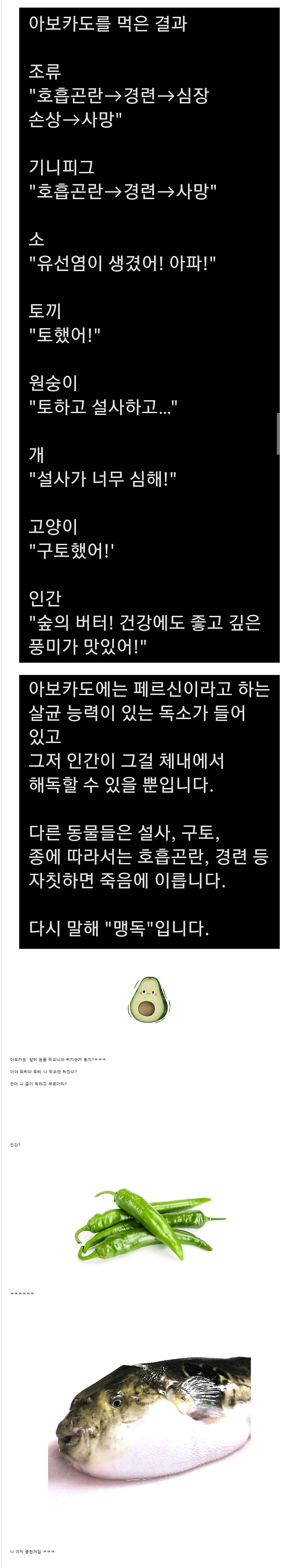 image.png 아보카도를 먹고 살아남은 생명체.jpg 아보카도를 먹고도 살아남은 생명체.jpg