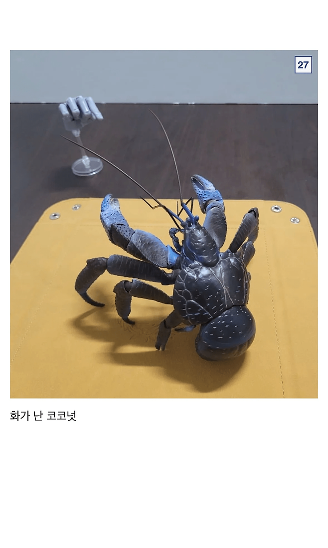 image.png 싱글벙글 9만원짜리 코코넛 크랩.jpg