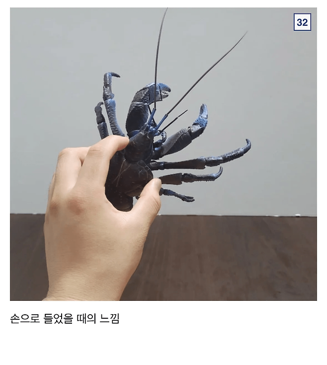image.png 싱글벙글 9만원짜리 코코넛 크랩.jpg