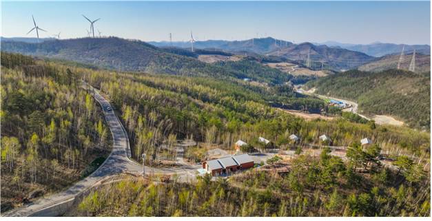 ▲ 매봉산 천상의 숲 전경. 강원도 제공