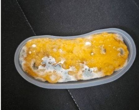 출처=온라인커뮤니티