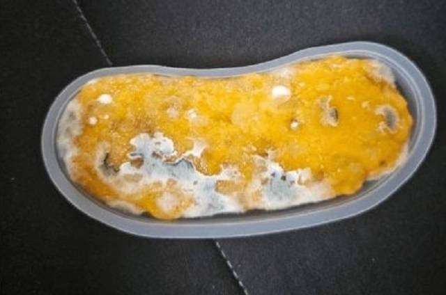 더본코리아가 운영하는 커피 프랜차이즈 ‘빽다방’의 디저트 제품에서 발견된 곰팡이 추정 이물질. 온라인 커뮤니티 캡처